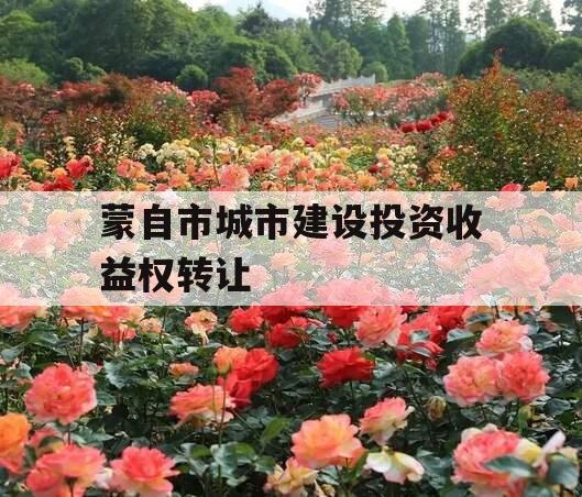 蒙自市城市建设投资收益权转让
