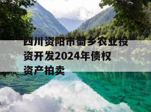四川资阳市蜀乡农业投资开发2024年债权资产拍卖