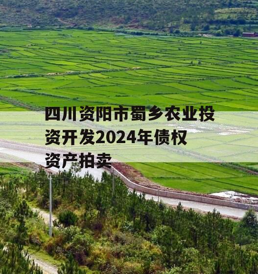 四川资阳市蜀乡农业投资开发2024年债权资产拍卖