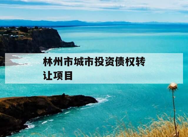 林州市城市投资债权转让项目