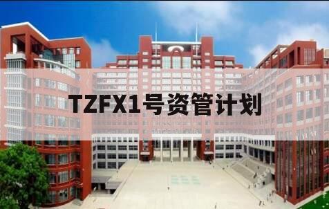 TZFX1号资管计划