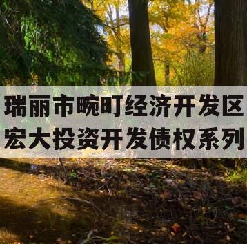 瑞丽市畹町经济开发区宏大投资开发债权系列