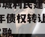 山东邹城利民建设发展2024年债权转让城投债定融