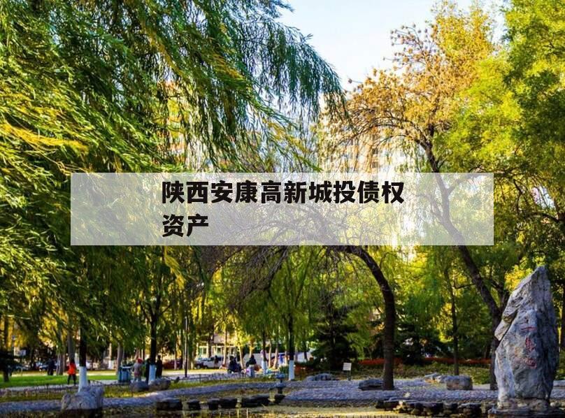 陕西安康高新城投债权资产