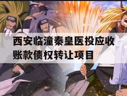 西安临潼秦皇医投应收账款债权转让项目