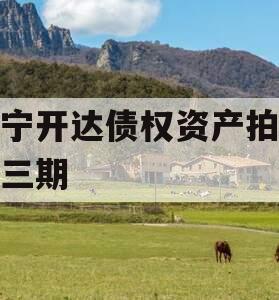 遂宁开达债权资产拍卖第三期