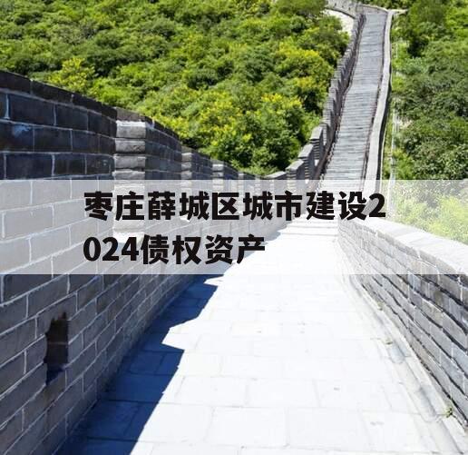 枣庄薛城区城市建设2024债权资产