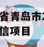 山东省青岛市2024年政信项目