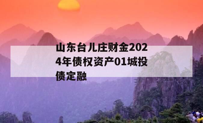 山东台儿庄财金2024年债权资产01城投债定融