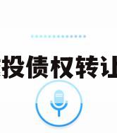 XX城投债权转让计划