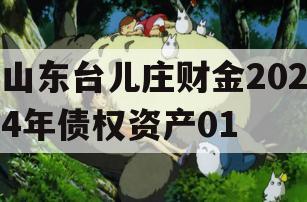 山东台儿庄财金2024年债权资产01