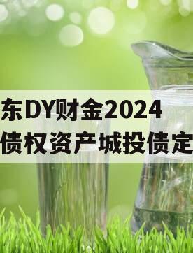 山东DY财金2024年债权资产城投债定融