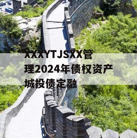 XXXYTJSXX管理2024年债权资产城投债定融