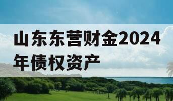 山东东营财金2024年债权资产