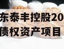 山东泰丰控股2024年债权资产项目