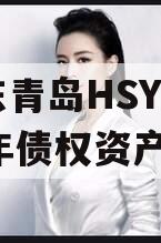 山东青岛HSYT2024年债权资产