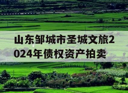山东邹城市圣城文旅2024年债权资产拍卖