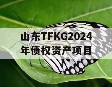 山东TFKG2024年债权资产项目