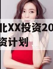 湖北XX投资2024融资计划
