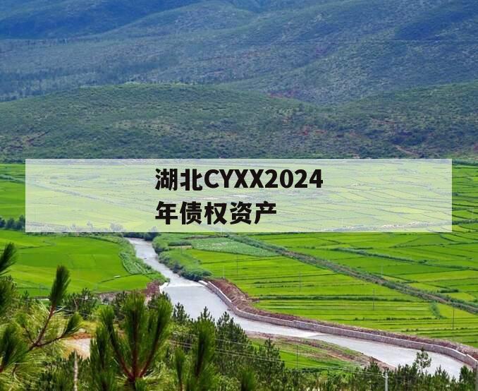 湖北CYXX2024年债权资产