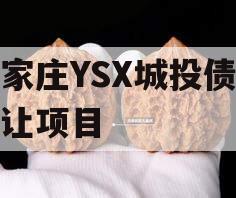 石家庄YSX城投债权转让项目
