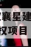 湖北汉襄星建投2024年债权项目