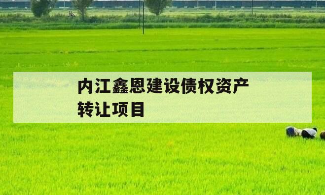 内江鑫恩建设债权资产转让项目