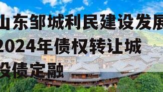 山东邹城利民建设发展2024年债权转让城投债定融