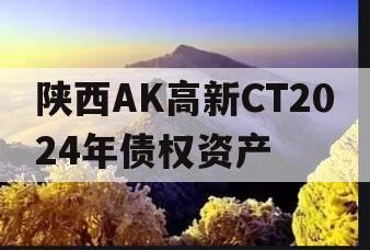 陕西AK高新CT2024年债权资产