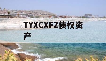 TYXCXFZ债权资产