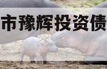 辉县市豫辉投资债权转让