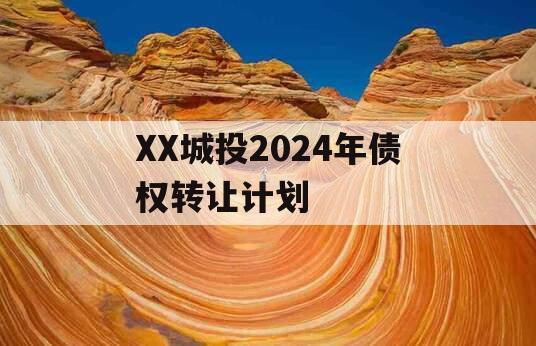 XX城投2024年债权转让计划
