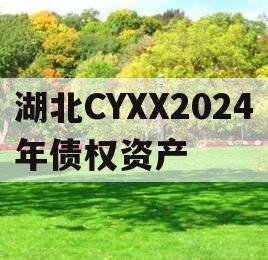 湖北CYXX2024年债权资产