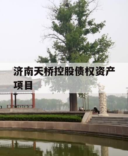 济南天桥控股债权资产项目