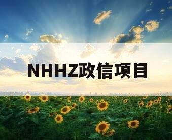 NHHZ政信项目