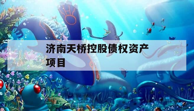 济南天桥控股债权资产项目