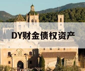 DY财金债权资产