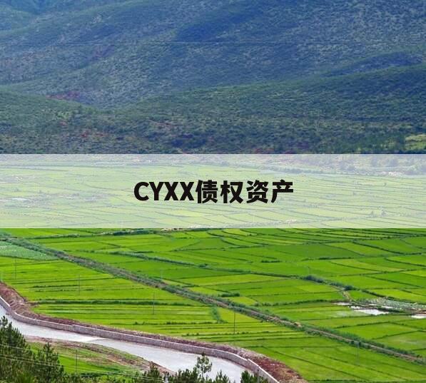 CYXX债权资产