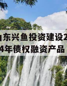 山东兴鱼投资建设2024年债权融资产品