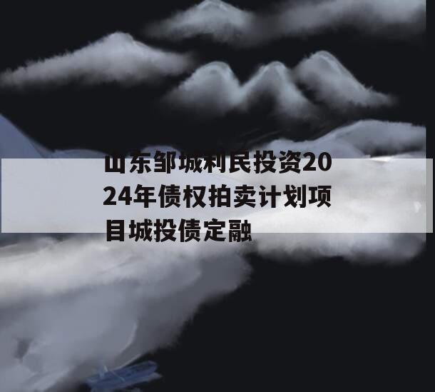山东邹城利民投资2024年债权拍卖计划项目城投债定融