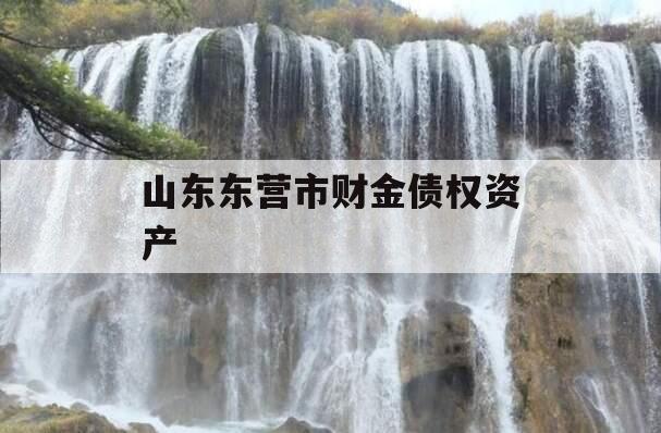 山东东营市财金债权资产