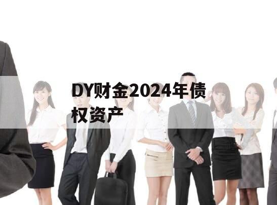 DY财金2024年债权资产