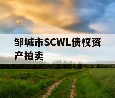 邹城市SCWL债权资产拍卖
