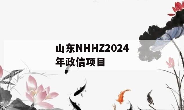 山东NHHZ2024年政信项目