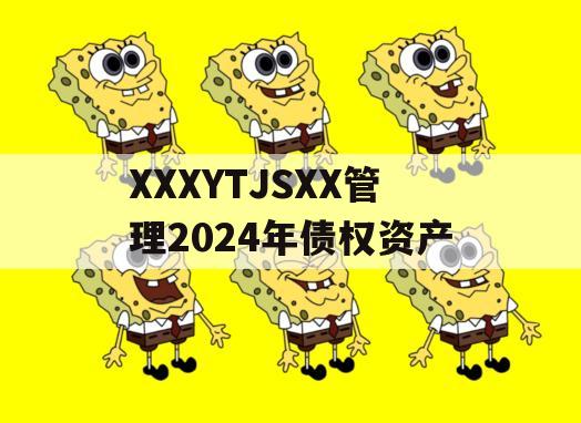 XXXYTJSXX管理2024年债权资产