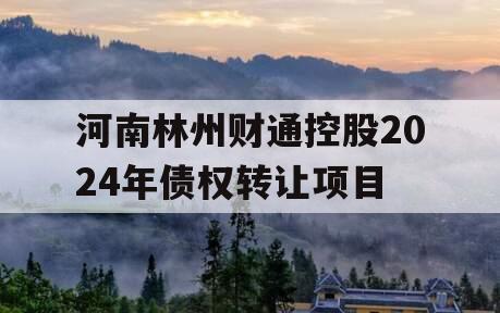 河南林州财通控股2024年债权转让项目