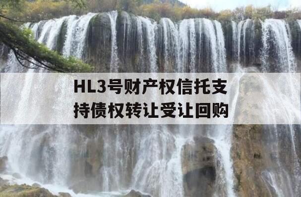 HL3号财产权信托支持债权转让受让回购