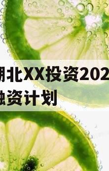 湖北XX投资2024融资计划