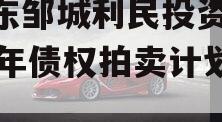山东邹城利民投资2024年债权拍卖计划项目