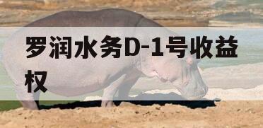罗润水务D-1号收益权